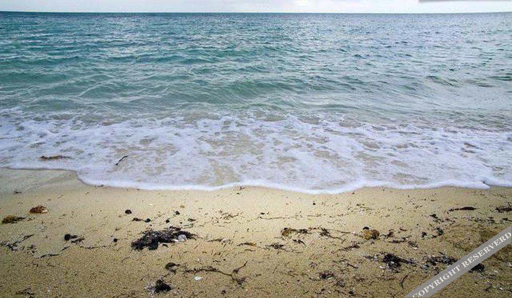 Taste Of Paradise Coral Harbour Екстер'єр фото